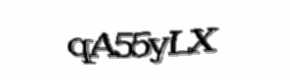 Security check image, please type the characters shown