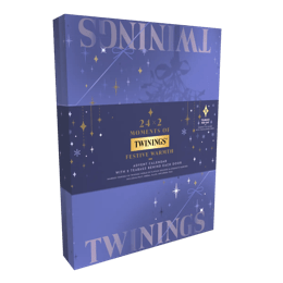 Twi Adventskalender6x(1stk) 25